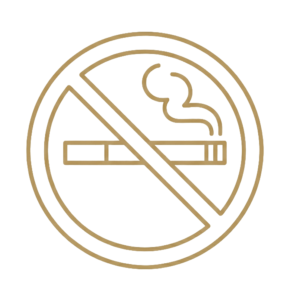 smoking ban icon